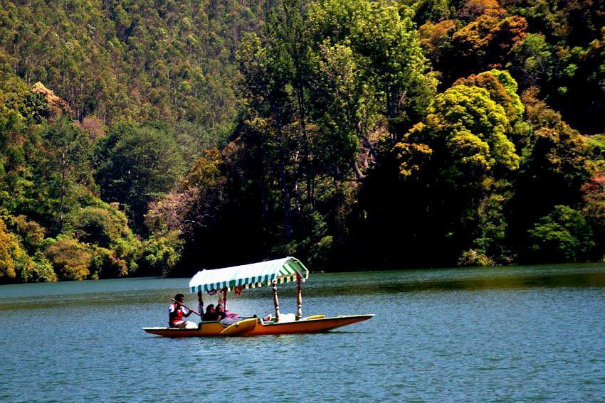 Munnar Dreams Exterior photo